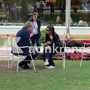 A Cernobbio prove di campo largo: Schlein e Bonelli 'a tu per tu' A Cernobbio prove di campo largo: Schlein e Bonelli 'a tu per tu'