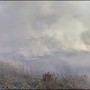Incendio a Brindisi, a fuoco vasta area sterpaglie e canneto in zona industriale