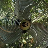 Oggi oltre 35 gradi: «Nei prossimi giorni leggero calo termico». Ed è allerta gialla