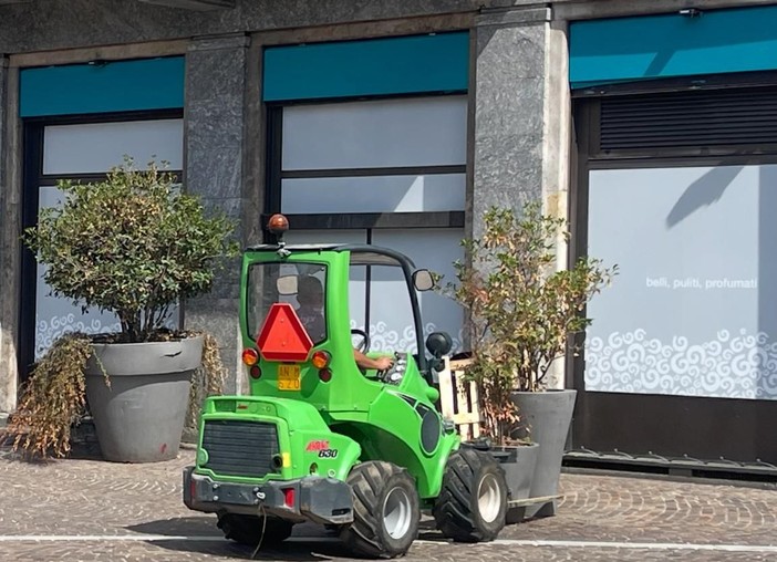 Gallarate più verde e curata: nuovi alberi in centro. I &quot;vasoni&quot; traslocano nei quartieri