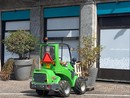 Gallarate più verde e curata: nuovi alberi in centro. I "vasoni" traslocano nei quartieri Gallarate più verde e curata: nuovi alberi in centro. I "vasoni" traslocano nei quartieri