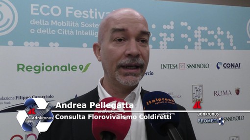 Sostenibilità, Pellegatta (Coldiretti): 'alberi contrastano effetti negativi del cambiamento climatico' Sostenibilità, Pellegatta (Coldiretti): 'alberi contrastano effetti negativi del cambiamento climatico'