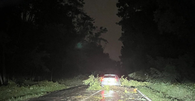 Gorla Maggiore. Via Como, dopo la tromba d’aria scatta la messa in sicurezza: strada chiusa sabato Gorla Maggiore. Via Como, dopo la tromba d’aria scatta la messa in sicurezza: strada chiusa sabato