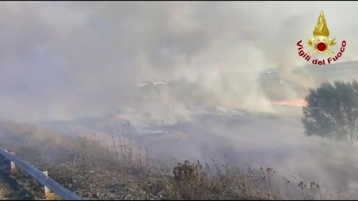 Incendio a Brindisi, a fuoco vasta area sterpaglie e canneto in zona industriale
