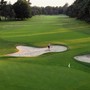 Al via il Buccellati Ladies Italian Open, verso il centenario di Golf Club Milano
