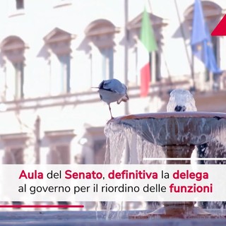 Polizia locale, ok Senato in via definitiva a delega a governo Polizia locale, ok Senato in via definitiva a delega a governo
