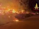 Napoli, incendio nel Parco archeologico di Longola Napoli, incendio nel Parco archeologico di Longola