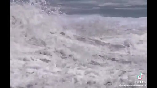 Il baby baywatch e il salvataggio eroico tra le onde del Pacifico