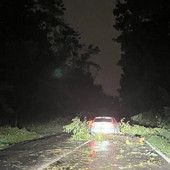 Gorla Maggiore. Via Como, dopo la tromba d’aria scatta la messa in sicurezza: strada chiusa sabato
