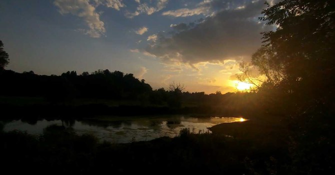 In cammino accompagnati dalla sera: l'unico posto dove si respira è giù lungo l'Olona