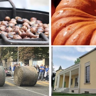 Castagne, zucche e fieno. Un weekend che non profuma solo d'autunno