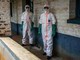 Ebola, Oms: "L'epidemia è estremamente grave e difficile". In Congo oltre 900 casi sospetti Ebola, Oms: "L'epidemia è estremamente grave e difficile". In Congo oltre 900 casi sospetti