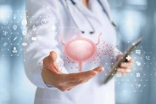 Tumori alla vescica, esperti: "Nel 2025 oltre 29mila diagnosi, 50% casi dovuti a fumo" Tumori alla vescica, esperti: "Nel 2025 oltre 29mila diagnosi, 50% casi dovuti a fumo"