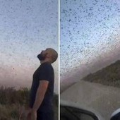 Invasione record di locuste, milioni di insetti oscurano il cielo. E il web grida alla 'piaga biblica' Invasione record di locuste, milioni di insetti oscurano il cielo. E il web grida alla 'piaga biblica'