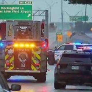 Sparatoria a Dallas, colpiti tre migranti detenuti in ufficio Ice: un morto, il cecchino si è suicidato Sparatoria a Dallas, colpiti tre migranti detenuti in ufficio Ice: un morto, il cecchino si è suicidato