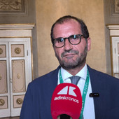 Gemmato: "Farmacia dei servizi migliora accesso a Ssn" Gemmato: "Farmacia dei servizi migliora accesso a Ssn"