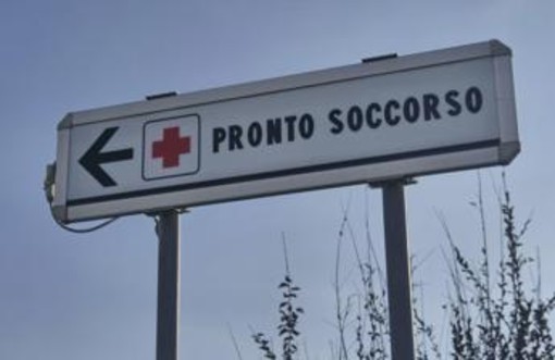 Due bambine azzannate da un cane randagio a Bari: una è in rianimazione Due bambine azzannate da un cane randagio a Bari: una è in rianimazione