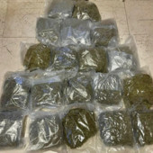 Arrestati a Bologna due trafficanti di droga con 20 kg di marijuana