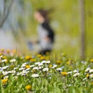 L'equinozio di primavera non cade il 21 marzo, ecco quando inizia la nuova stagione L'equinozio di primavera non cade il 21 marzo, ecco quando inizia la nuova stagione