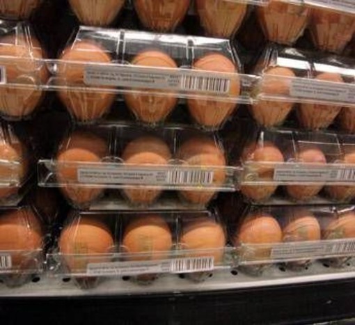 Quanti errori in cucina, dal frigo all'igiene: il decalogo dell'Iss per pasti sicuri