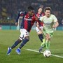 Europa-League, Bologna-Celtic 2-2: Dallinga e Rowe riprendono gli scozzesi Europa-League, Bologna-Celtic 2-2: Dallinga e Rowe riprendono gli scozzesi