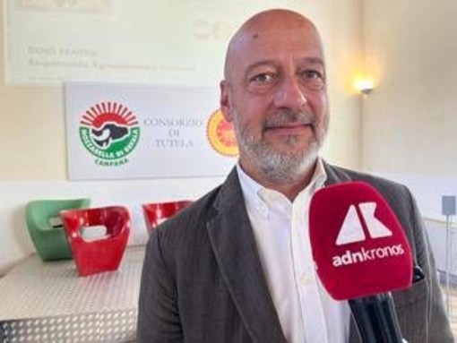 Made in Italy, Saccani (Mozzarella di Bufala Campana Dop): &quot;Innovare per restare tradizione&quot;