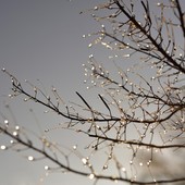 Un weekend tranquillo, ma non noioso, nel Bustese Un weekend tranquillo, ma non noioso, nel Bustese