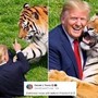 Uomo sbranato da una tigre, Trump posta il video: "Non si scherza con la natura". Poi pubblica la parodia con IA