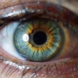 Farmaci, aflibercept 8 mg: nuovi dati confermano efficacia e sostenibilità in maculopatie