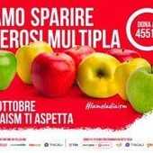 La mela Aism, in 5mila piazze l’iniziativa per un futuro libero da sclerosi multipla La mela Aism, in 5mila piazze l’iniziativa per un futuro libero da sclerosi multipla