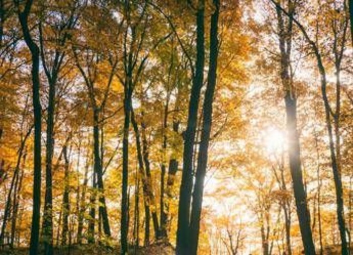 Il maltempo molla la presa, torna l'anticiclone e salgono le temperature: la tendenza dei prossimi giorni Il maltempo molla la presa, torna l'anticiclone e salgono le temperature: la tendenza dei prossimi giorni
