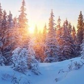 21 dicembre, ecco perché il solstizio d'Inverno è il giorno più corto dell'anno