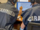 Pedopornografia e prostituzione minorile a Roma, arrestato 40enne Pedopornografia e prostituzione minorile a Roma, arrestato 40enne