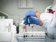 Chikungunya, secondo caso a Novellara