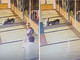 Donna prende a morsi un pitbull per salvare il suo cane: il video choc