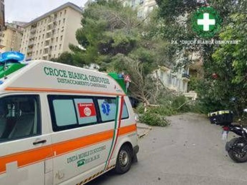 Maltempo sull'Italia, donna ferita da un ramo caduto a Genova. Grandine e pioggia a Roma, traffico in tilt