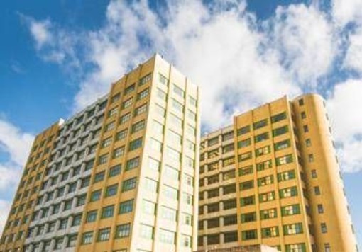 Università Lum Giuseppe Degennaro, 15 docenti nella World’s top 2% scientists Stanford university Università Lum Giuseppe Degennaro, 15 docenti nella World’s top 2% scientists Stanford university