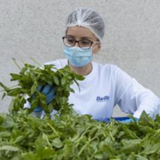 Barilla, fino a 650.000 analisi l'anno e 250 risorse dedicate per la sicurezza nel piatto