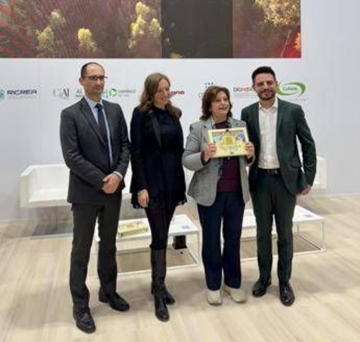 Un Sacco in Comune, Crotone vince sfida del riciclo tra capoluoghi calabresi Un Sacco in Comune, Crotone vince sfida del riciclo tra capoluoghi calabresi