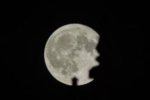 La Superluna, tre sciami di meteoriti e la parata dei pianeti: tutti gli eventi celesti di novembre 2026