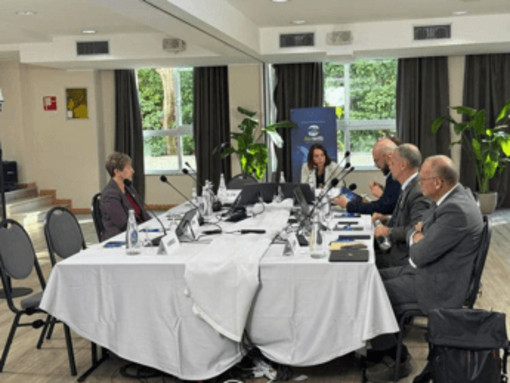 Tumori, Lazio, esperti: "Per cancro prostata diagnosi precoce, innovazione e sostenibilità" Tumori, Lazio, esperti: "Per cancro prostata diagnosi precoce, innovazione e sostenibilità"