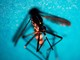 «La situazione è sotto controllo»: due casi di West Nile in Lombardia