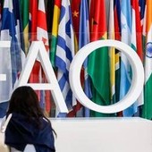 Fao, Tajani: "Italia candida Maurizio Martina alla guida" Fao, Tajani: "Italia candida Maurizio Martina alla guida"