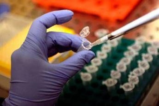 Morbillo, Pennsylvania segnala sesto morto: 39enne con patologie e già infettata di recente Morbillo, Pennsylvania segnala sesto morto: 39enne con patologie e già infettata di recente