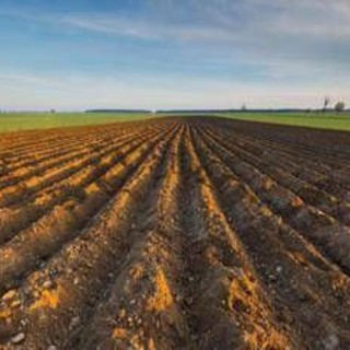 Ismea, riparte 'Generazione Terra', 120 mln per giovani agricoltori nel 2026 Ismea, riparte 'Generazione Terra', 120 mln per giovani agricoltori nel 2026