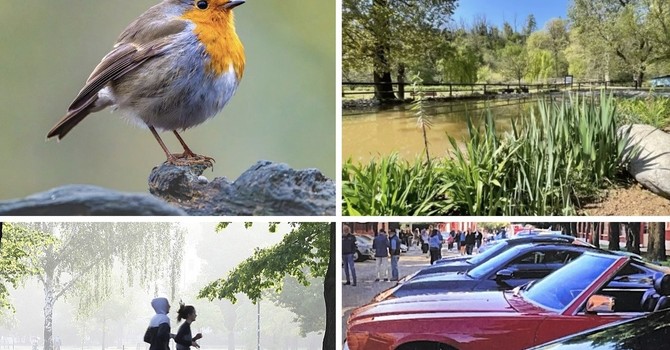 Natura, musica e tanta aria di festa: un weekend a colori nel Bustese