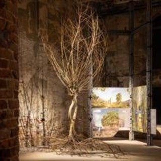 Sostenibilità, Gruppo Saviola: Pannelli Ecologici per Triennale Milano e Biennale Architettura