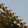 Usa, incidente sulle montagne russe al parco divertimenti in Georgia: 1 morto e numerosi feriti Usa, incidente sulle montagne russe al parco divertimenti in Georgia: 1 morto e numerosi feriti