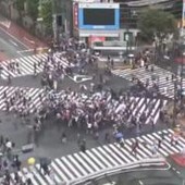 Mondiali, il Giappone pareggia con l'Olanda e a Tokyo si fa festa... al semaforo