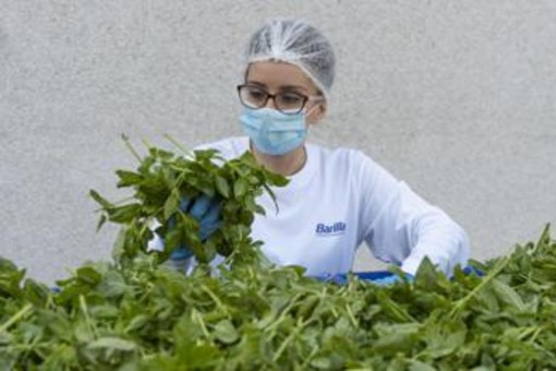 Barilla, fino a 650.000 analisi l'anno e 250 risorse dedicate per la sicurezza nel piatto